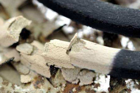 蚊香放花盆里能杀虫么