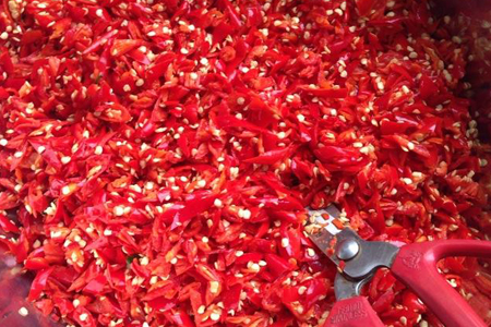 辣椒水可以杀虫吗