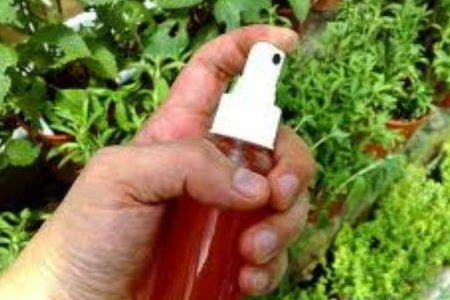 辣椒水可以杀虫吗