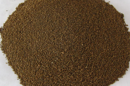 龙舌兰怎么种植