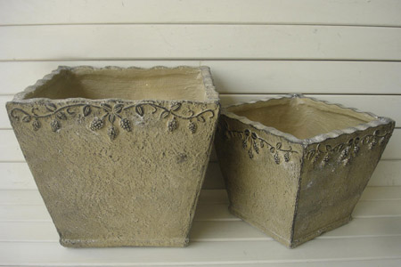 长寿花怎么不开花