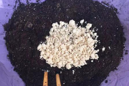 吊兰为什么需要放鸡蛋壳，施什么肥能更旺盛？