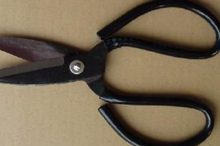 龙须树烂心是啥原因,能救活吗?