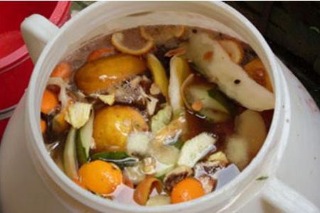 淘米水臭了还能浇花吗，怎么发酵才不臭？