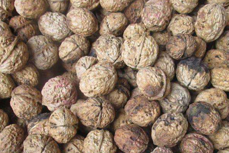 核桃什么时候成熟，几月采摘？