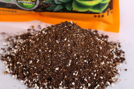 营养土怎么用,放上面還是下面,用后可以浇水吗?