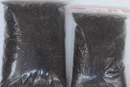 营养土怎么用,放上面還是下面,用后可以浇水吗?