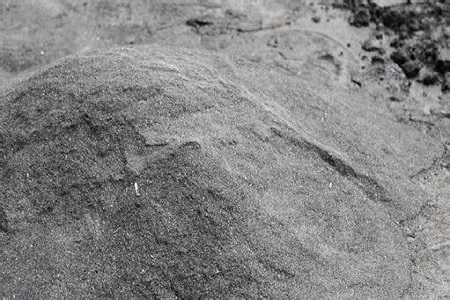 白掌里面能放草木灰吗,用什么土养最好?