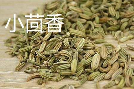 小茴香和孜然的区别
