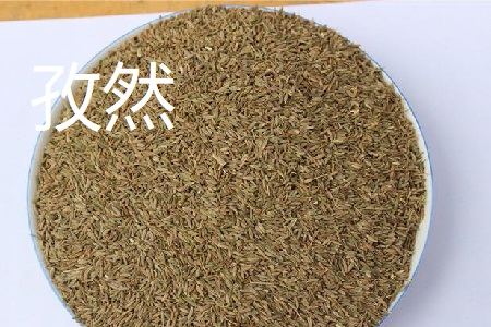 小茴香和孜然的区别