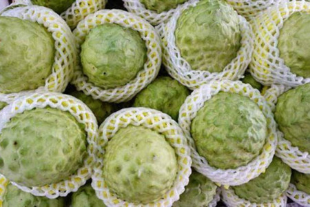 释迦果怎么判断熟没熟,怎么吃?