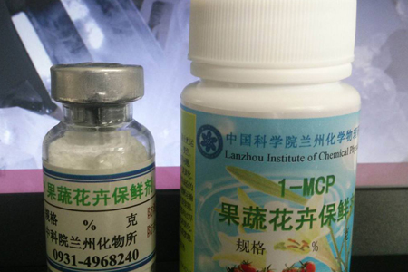 水养绣球花蔫了解决办法，可以怎么救活？