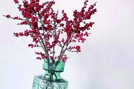 北美冬青直接插水养吗，可以养多长