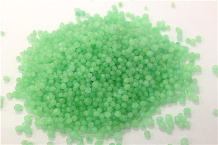 发财树怎么种植才长得好,叶子更绿更旺盛?