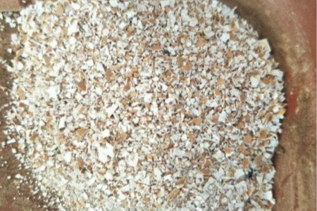 君子兰怎么样用鸡蛋施肥,用什么肥料最好