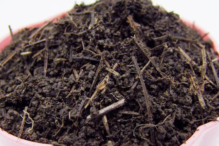 松针土适合养什么花