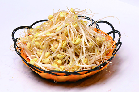 绿豆芽和黄豆芽的区别