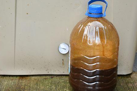 盆栽腊梅的养殖办法