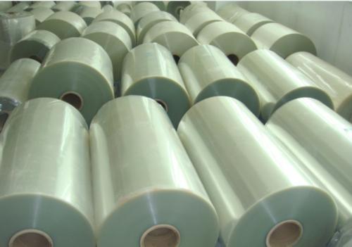 一串红的种植办法简述(种子种法、技巧、密度)