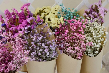 满天星的花语和寓意，适合送什么人？