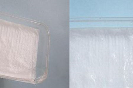 满天星种子怎么催芽，要浸泡种子吗？