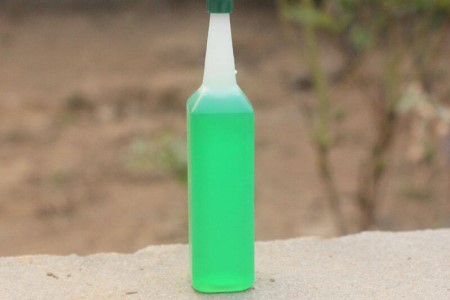 水培绿萝放点它,长得又快又茂盛,叶子绿的能滴油!