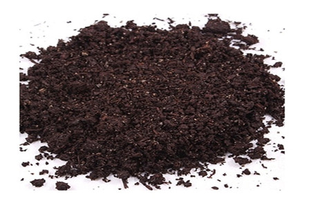 金鱼吊兰怎么长得快，不长什么问题