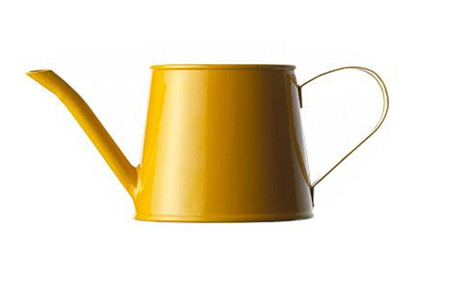 金鱼吊兰怎么长得快，不长什么问题