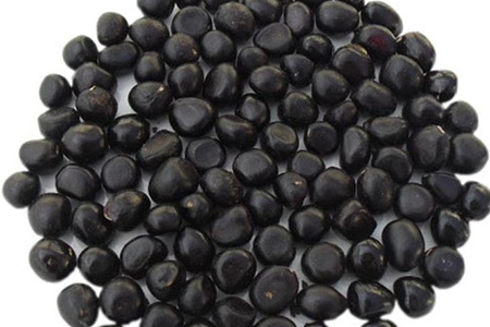 牡丹花种子怎么种植,要泡水催芽吗