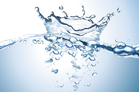 富贵竹换水需要要注意什么