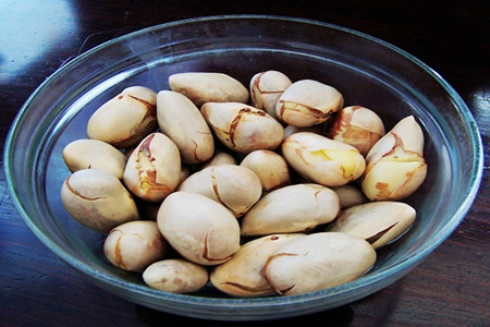 菠萝蜜的核能吃吗