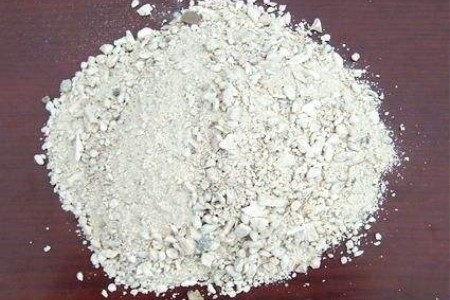 五彩络石为什么不开花