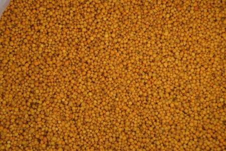 怎么样给盆栽桂花施肥