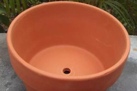 桂花适合浅盆還是深盆