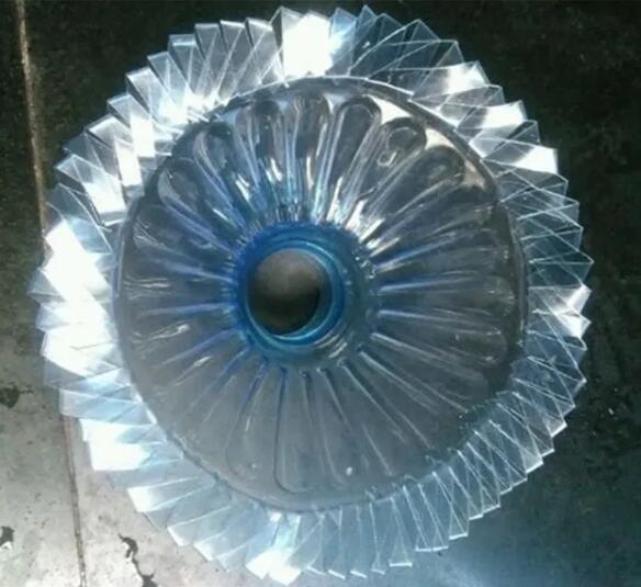 她在墙角挖苔藓，半个月养成微景观，盆盆遭疯抢！