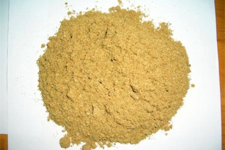 康乃馨的养殖办法和注意些什么