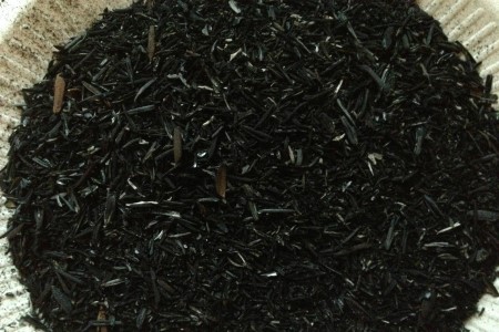 银皇后的养殖办法和注意些什么