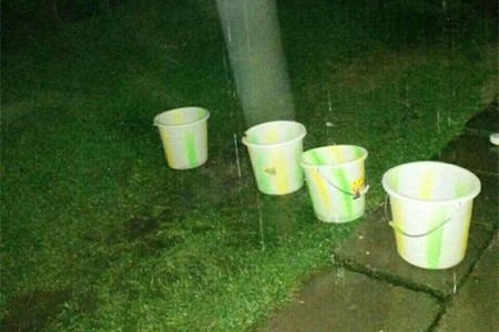 风信子土培怎么浇水