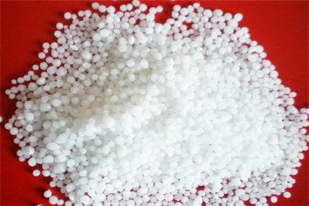 玫瑰花怎么种植