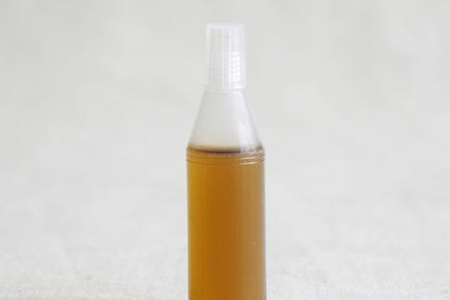 玫瑰花怎么种植