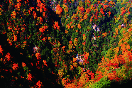观赏光雾山红叶的最佳时间