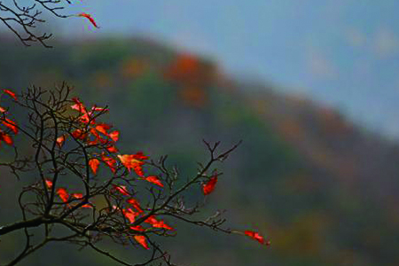 观赏光雾山红叶的最佳时间