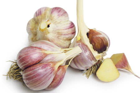 水培大蒜的办法