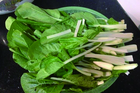 冬天阳台可以种什么菜