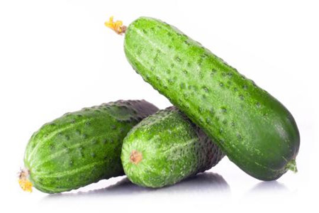 冬天阳台可以种什么菜