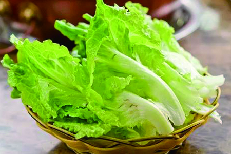 冬天阳台可以种什么菜