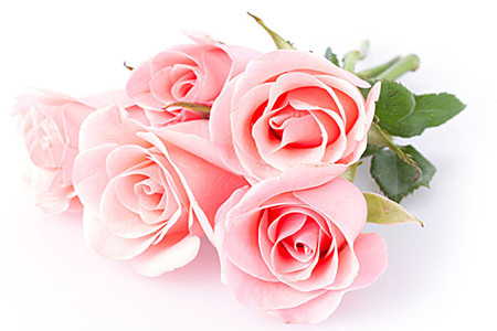 粉色玫瑰有啥意思，花语是啥？