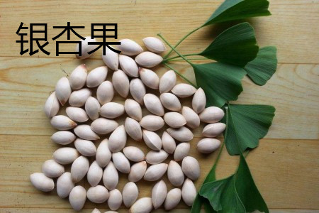 银杏果是开心果吗