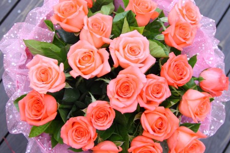 十九朵粉玫瑰代表啥意思