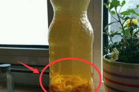 橘子皮泡水浇绿萝可以吗